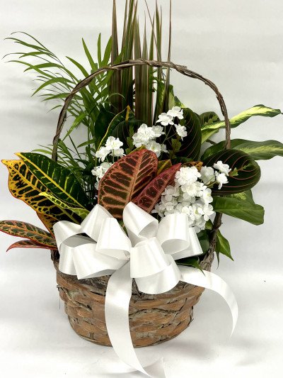 Medium Basket Planter