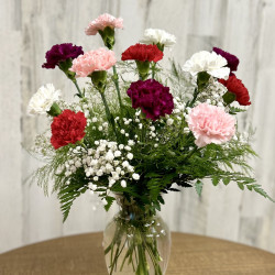 One Dozen Carnations